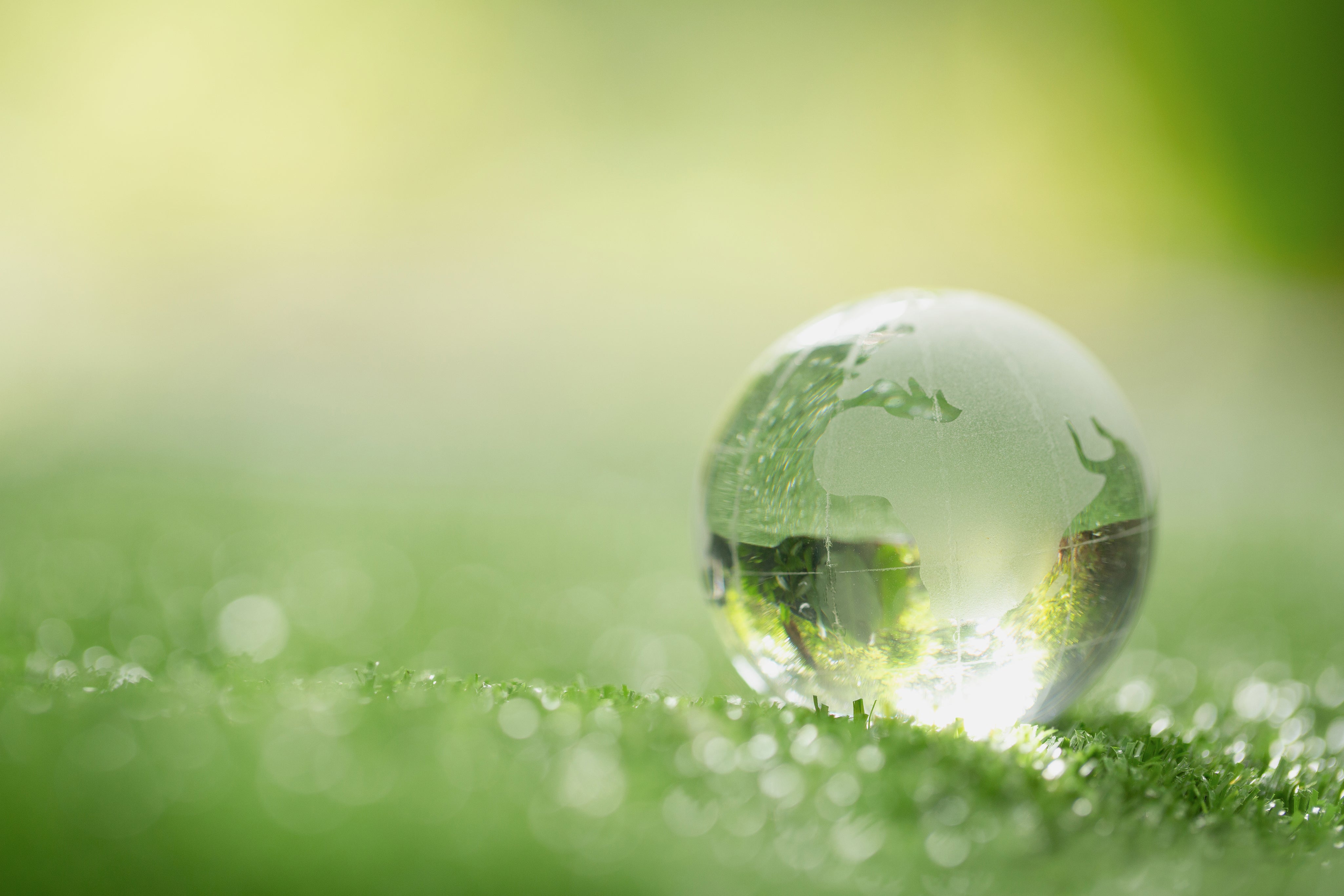 close-up-crystal-globe-resting-grass-forest.jpg